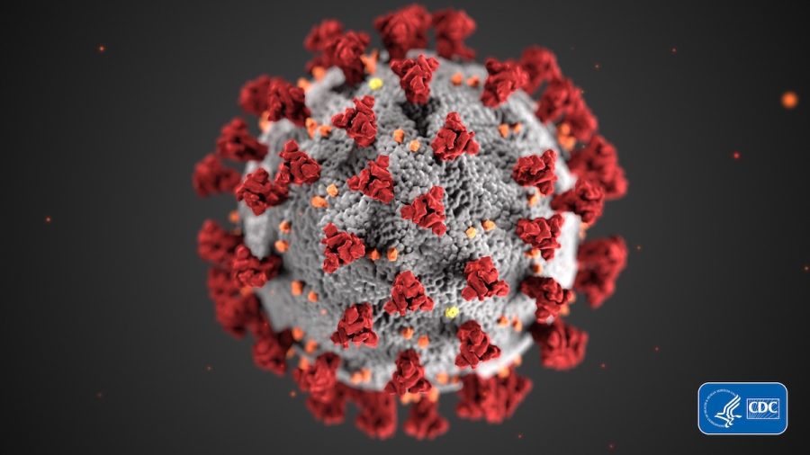A+Computer+Generated+Graphic+of+the+Coronavirus+Developed+by+the+Center+for+Disease+Control.+%28Courtesy+of+the+CDC%29