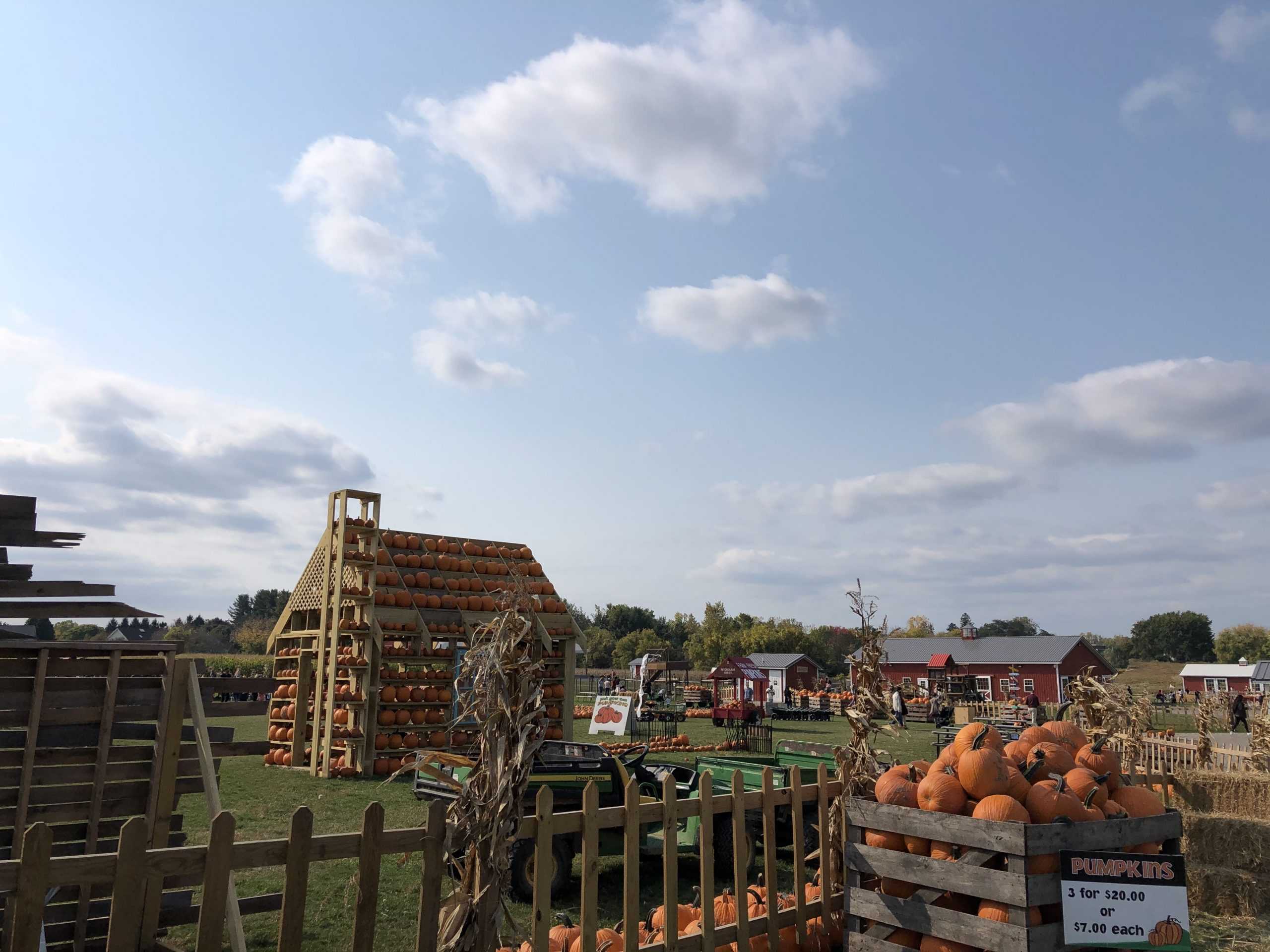 Apple+Cider%2C+Pumpkin+Patches%2C+Fall+Foliage+and+More%3A+How+to+Enjoy+the+Fall+Season+in+Rochester