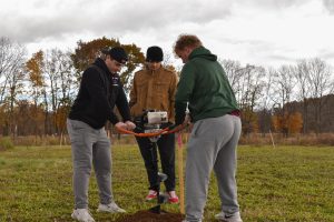 Students helping plant an American Chestnut Tree