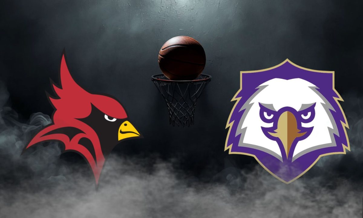 Battle of the Beaks