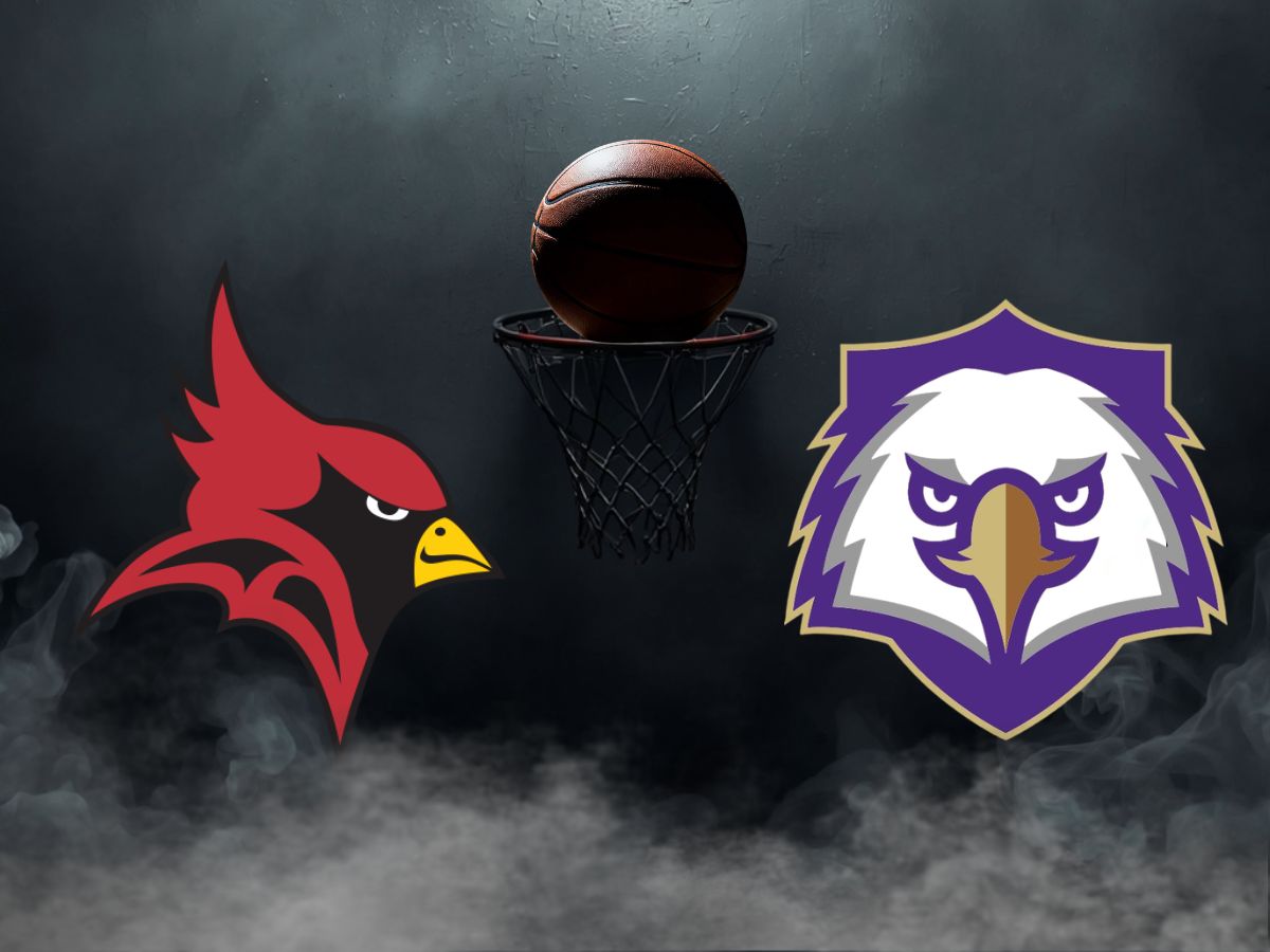 Battle of The Beaks
