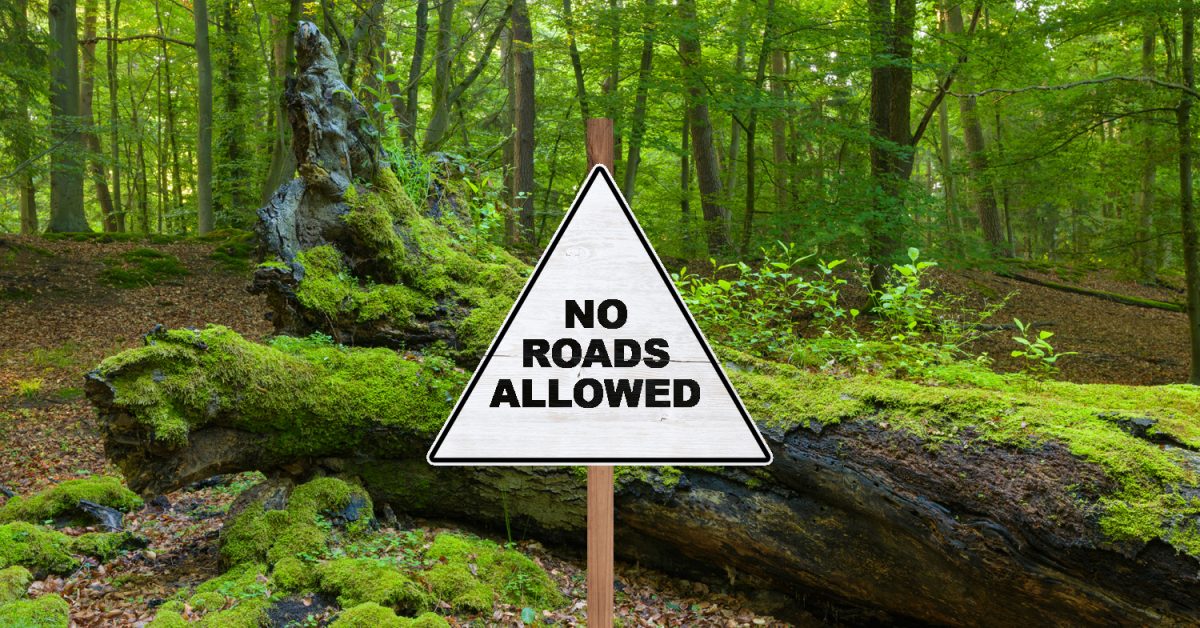 The Roadless Rule